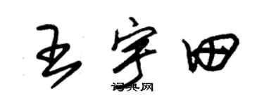 朱錫榮王宇田草書個性簽名怎么寫