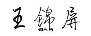 駱恆光王錦屏行書個性簽名怎么寫