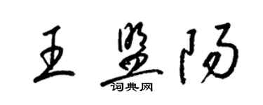 梁錦英王盟陽草書個性簽名怎么寫