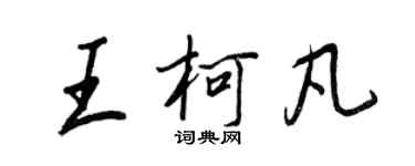 王正良王柯凡行書個性簽名怎么寫