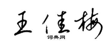 梁錦英王佳梅草書個性簽名怎么寫