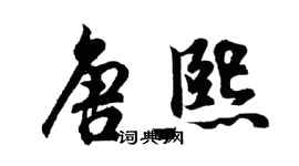 胡問遂唐熙行書個性簽名怎么寫