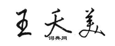 駱恆光王夭美行書個性簽名怎么寫