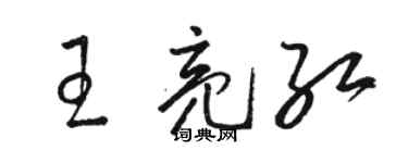 駱恆光王亮紅草書個性簽名怎么寫