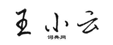 駱恆光王小雲行書個性簽名怎么寫