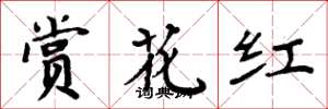 周炳元賞花紅楷書怎么寫