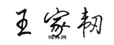 駱恆光王家韌行書個性簽名怎么寫