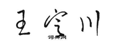 駱恆光王定川草書個性簽名怎么寫