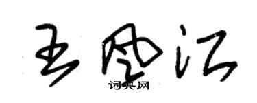 朱錫榮王風江草書個性簽名怎么寫