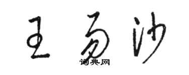 駱恆光王易沙草書個性簽名怎么寫