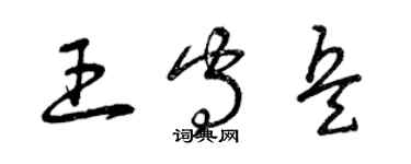 曾慶福王守兵草書個性簽名怎么寫