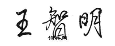 駱恆光王智明行書個性簽名怎么寫