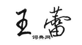 駱恆光王蕾行書個性簽名怎么寫