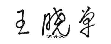 駱恆光王曉單草書個性簽名怎么寫