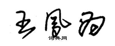朱錫榮王鳳為草書個性簽名怎么寫