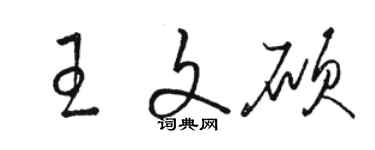 駱恆光王文碩草書個性簽名怎么寫