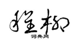 曾慶福程柳草書個性簽名怎么寫