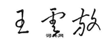 駱恆光王雲放草書個性簽名怎么寫