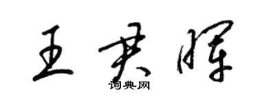 梁錦英王君暉草書個性簽名怎么寫