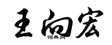 胡問遂王向宏行書個性簽名怎么寫