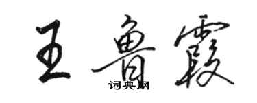 駱恆光王魯霞行書個性簽名怎么寫