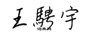 王正良王騁宇行書個性簽名怎么寫