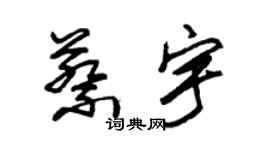 朱錫榮蔡宇草書個性簽名怎么寫