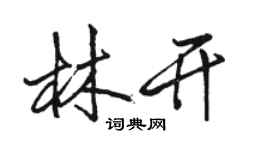 駱恆光林開行書個性簽名怎么寫