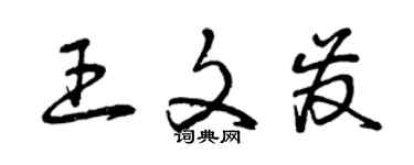 曾慶福王文發草書個性簽名怎么寫