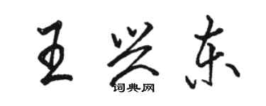 駱恆光王興東行書個性簽名怎么寫