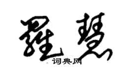 朱錫榮羅慧草書個性簽名怎么寫