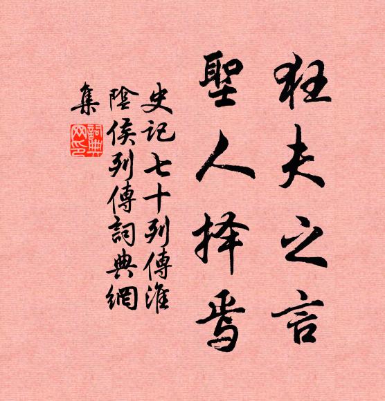 司馬遷狂夫之言,聖人擇焉。書法作品欣賞