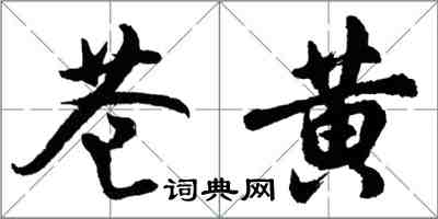 胡問遂蒼黃行書怎么寫