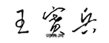 駱恆光王賽兵草書個性簽名怎么寫