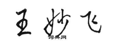 駱恆光王妙飛行書個性簽名怎么寫