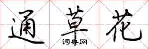 荊霄鵬通草花行書怎么寫