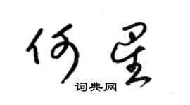 梁錦英何星草書個性簽名怎么寫