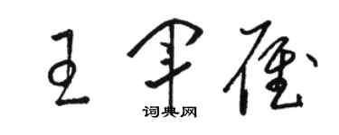 駱恆光王軍雁草書個性簽名怎么寫