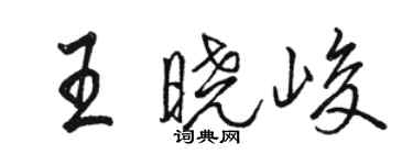 駱恆光王曉峻行書個性簽名怎么寫