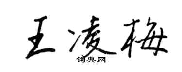 王正良王凌梅行書個性簽名怎么寫