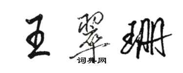 駱恆光王翠珊行書個性簽名怎么寫