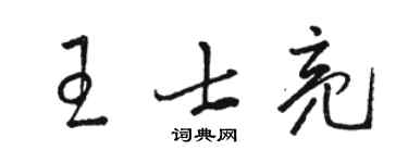駱恆光王士亮草書個性簽名怎么寫