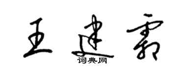 梁錦英王建霜草書個性簽名怎么寫