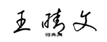 梁錦英王晴文草書個性簽名怎么寫