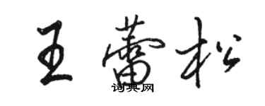 駱恆光王蕾松行書個性簽名怎么寫