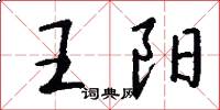 王陽怎么寫好看