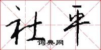 社平怎么寫好看