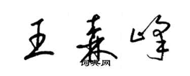 梁錦英王森峰草書個性簽名怎么寫