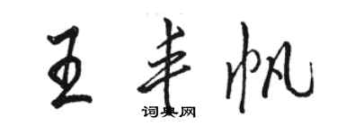 駱恆光王豐帆行書個性簽名怎么寫