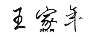 駱恆光王家年行書個性簽名怎么寫